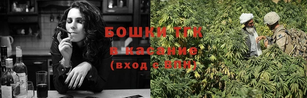ПСИЛОЦИБИНОВЫЕ ГРИБЫ Киреевск