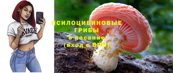 ПСИЛОЦИБИНОВЫЕ ГРИБЫ Киренск