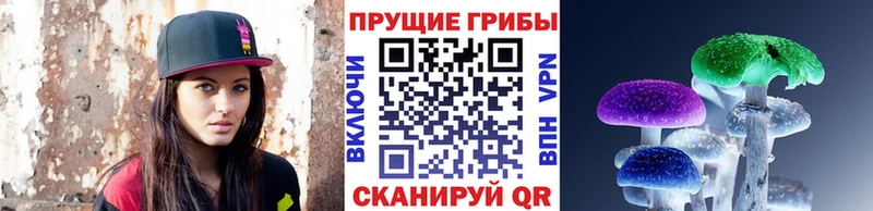 Галлюциногенные грибы Psilocybe  Купить закладки  Южа 